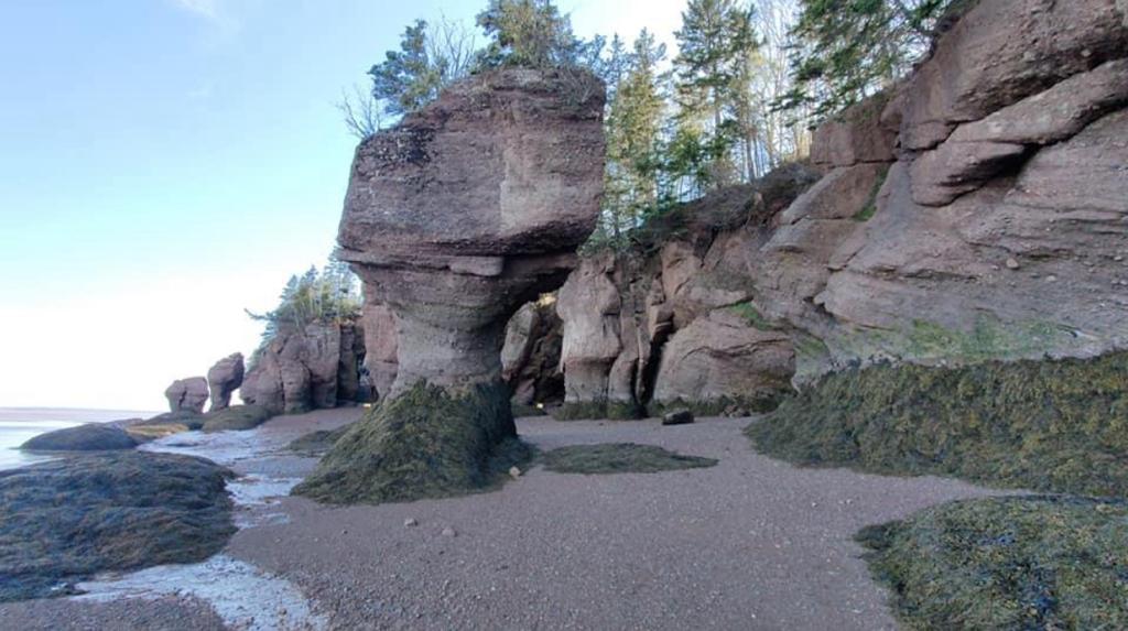 Toronto to Moncton Movers